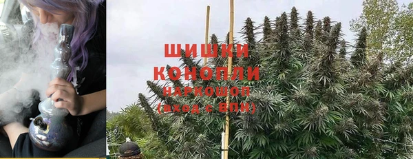 молекула духа Бугульма