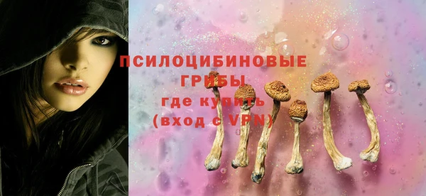 mix Белокуриха