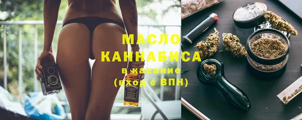 хмурый Бородино